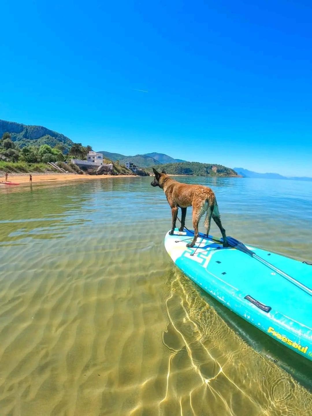 Hotel Plage D'Or Jijel Exteriör bild